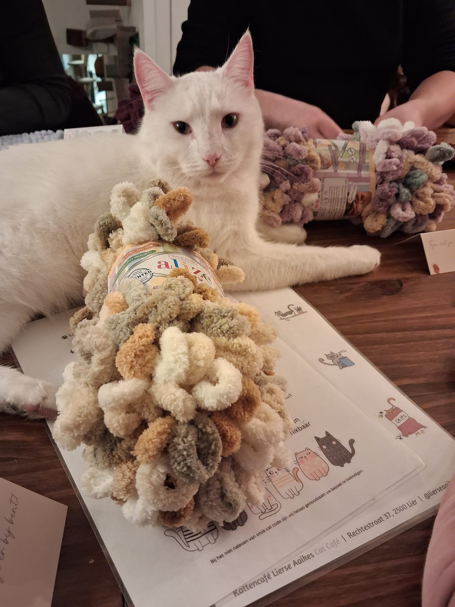 🐾 Lusjes, wol & kattenknuffels – kattendekentje handbreien in Lierse Aaikes