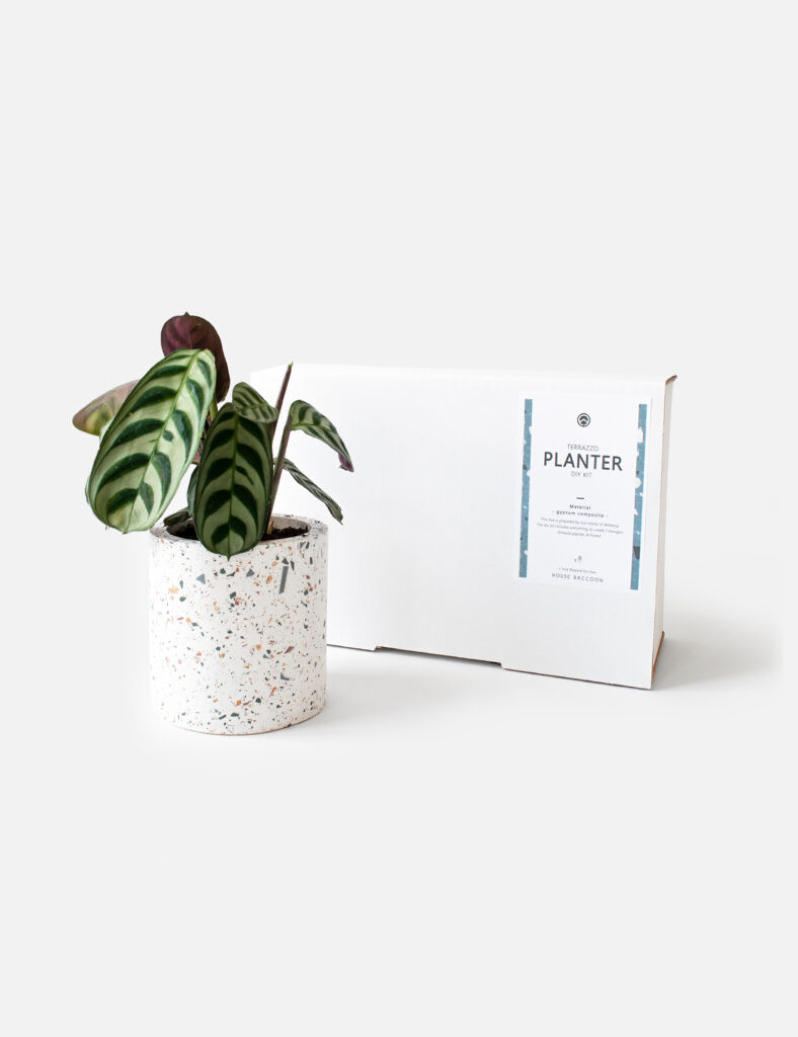 Workshop Terrazzo: de hype