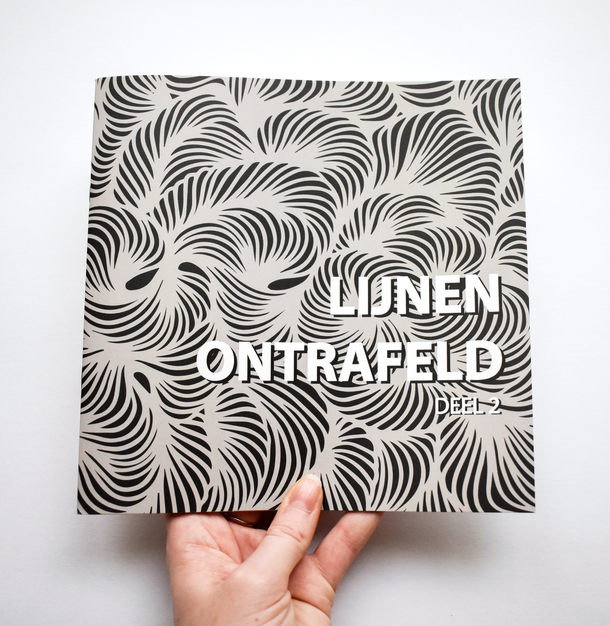 DIY kit - Lijnen ontrafeld - deel 2 - Foto