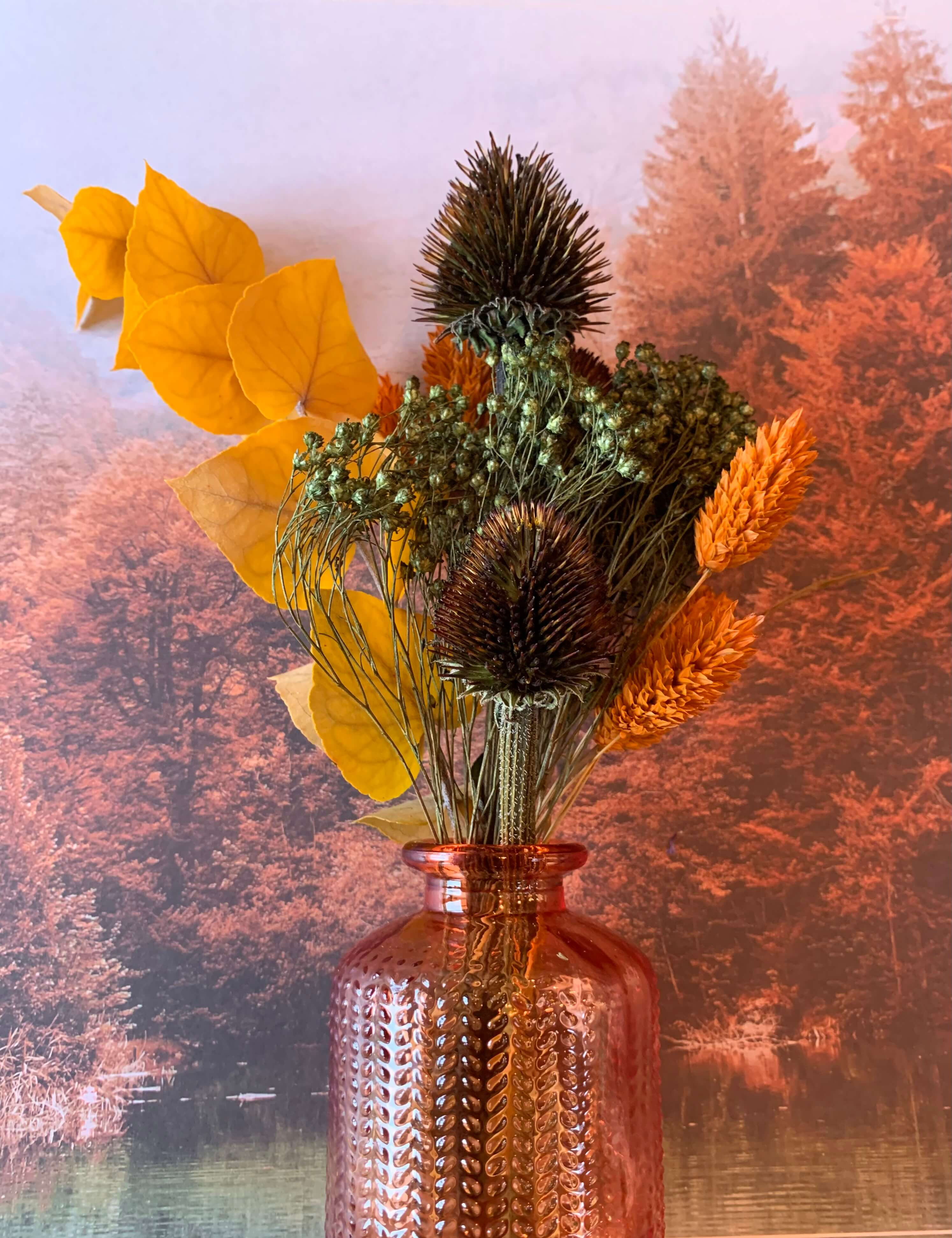 © Stephanie Cosyflowers