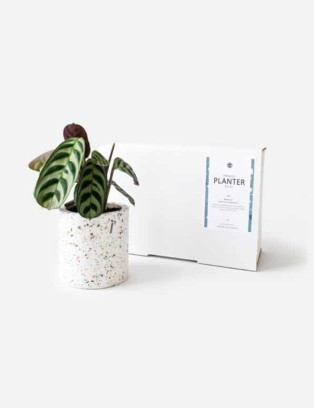 Terrazzo Potten DIY Pakket
