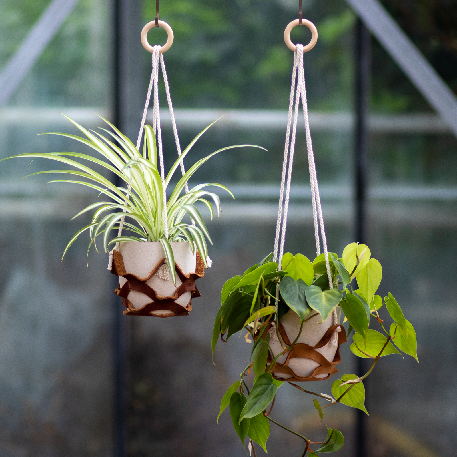 DIY Pakket Plantenhanger