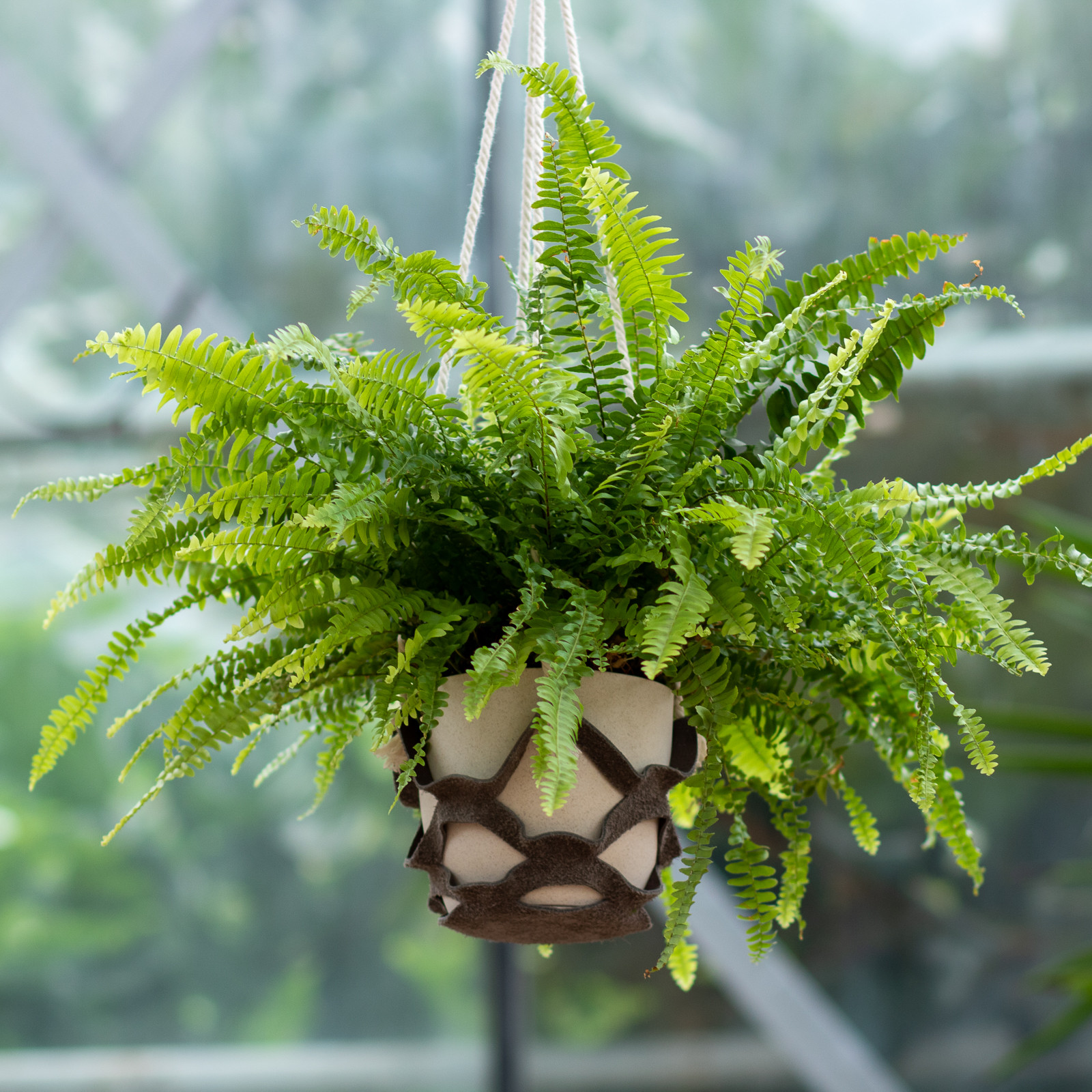 DIY Pakket Plantenhanger - Foto