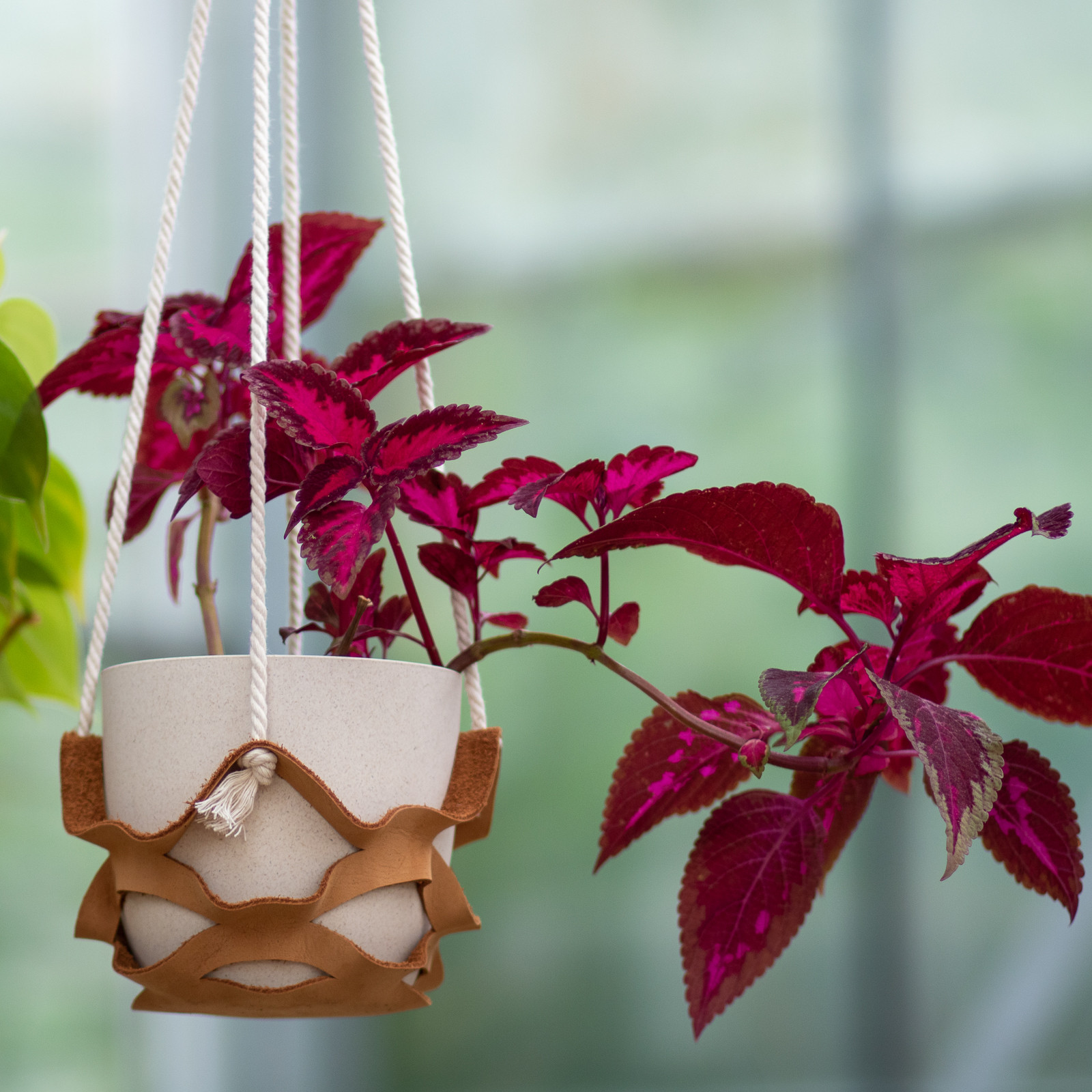 DIY Pakket Plantenhanger - Foto