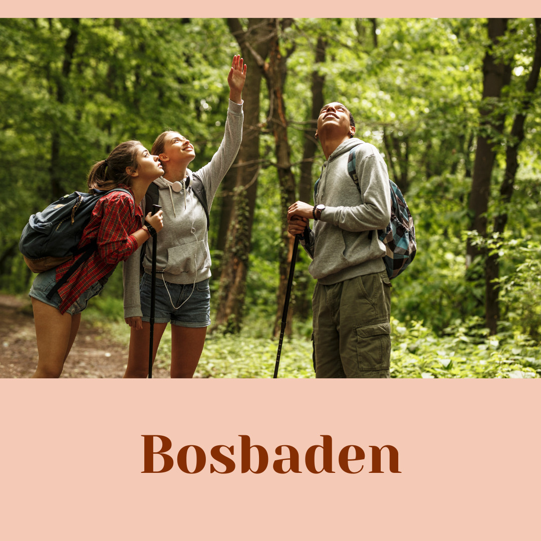 Workshop Bosbaden - Shinrin Yoku - Foto