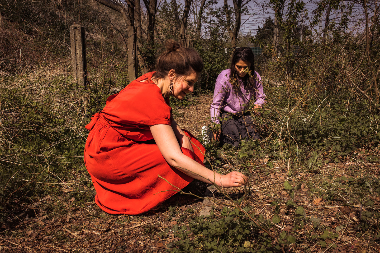 Workshop Bosbaden - Shinrin Yoku - Foto