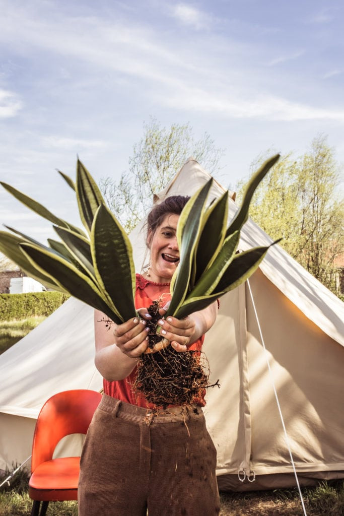 Workshop: Stek je plant - Foto