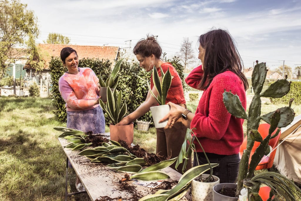 Workshop: Stek je plant - Foto