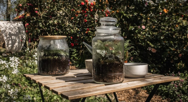 Workshop: Biosfeer