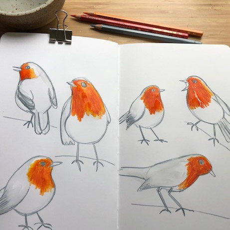 Online cursus. Vogels tekenen met aquarelpotlood - Foto