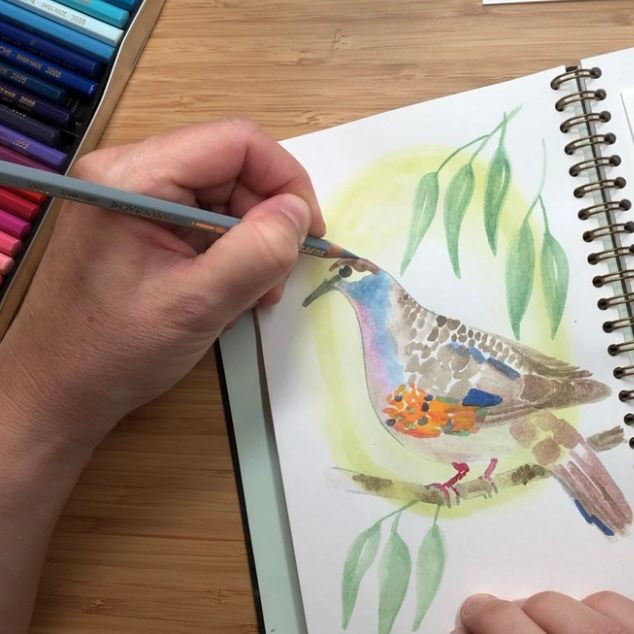 Online cursus. Vogels tekenen met aquarelpotlood - Foto