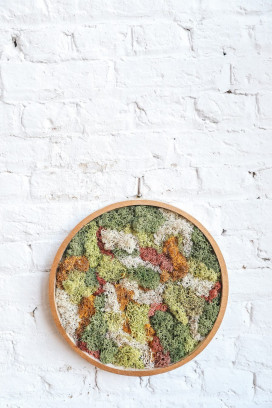 DIY pakket: Moswand