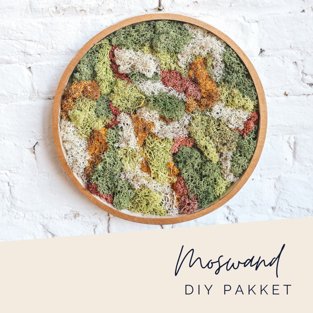 DIY pakket: Moswand - Foto