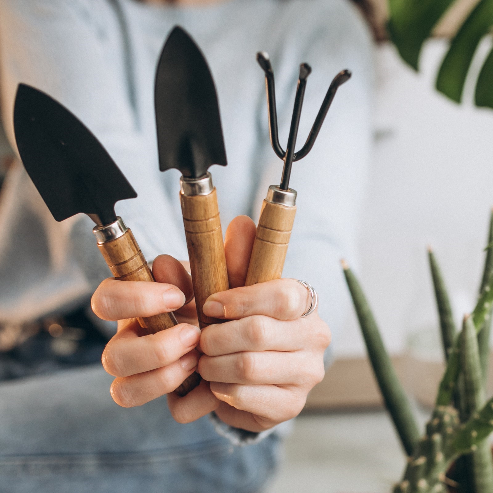 Workshop Urban Jungle - Basic plantcare