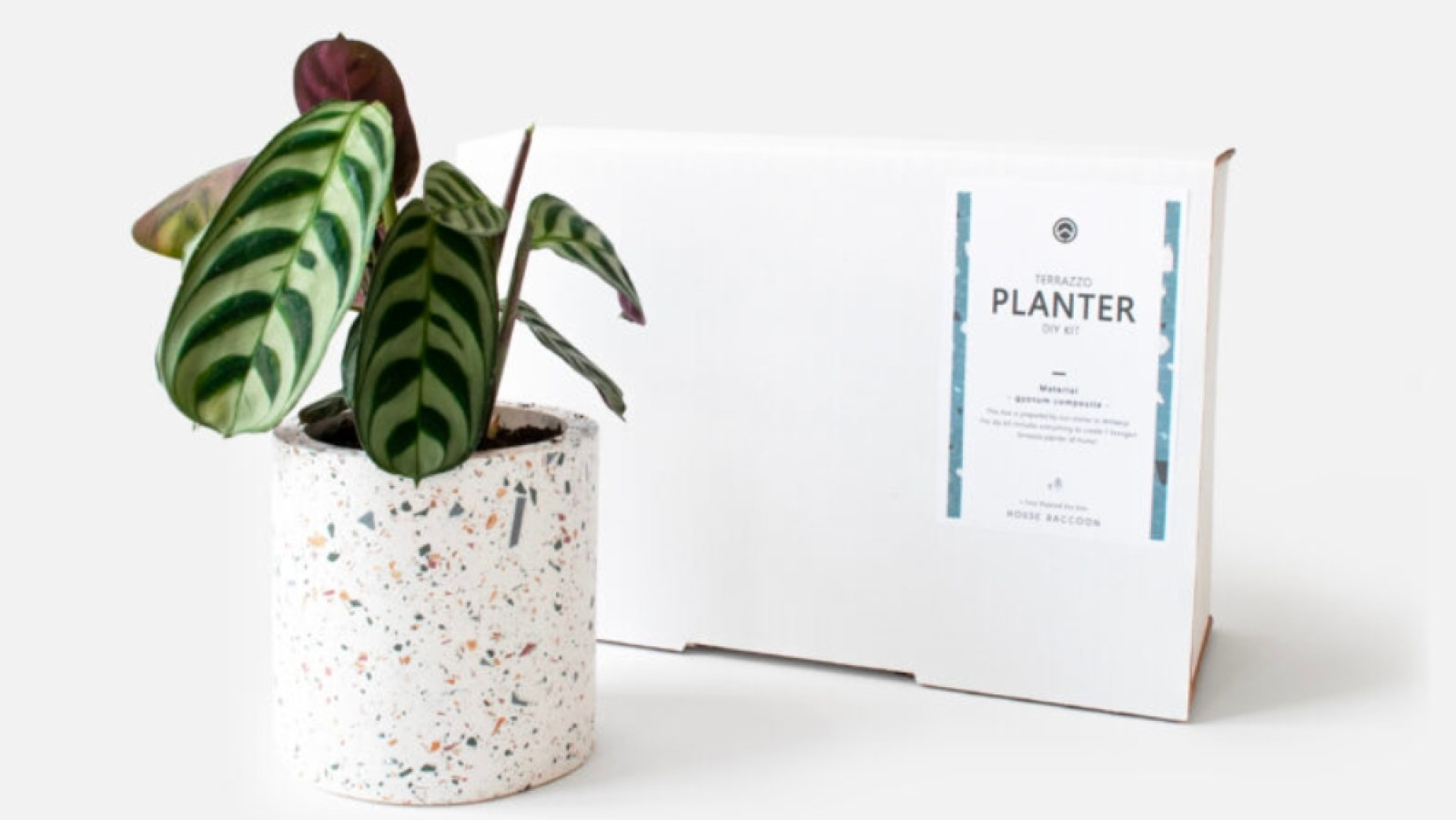 DIY Pakket - Terrazzo plantenpotjes - House Raccoon