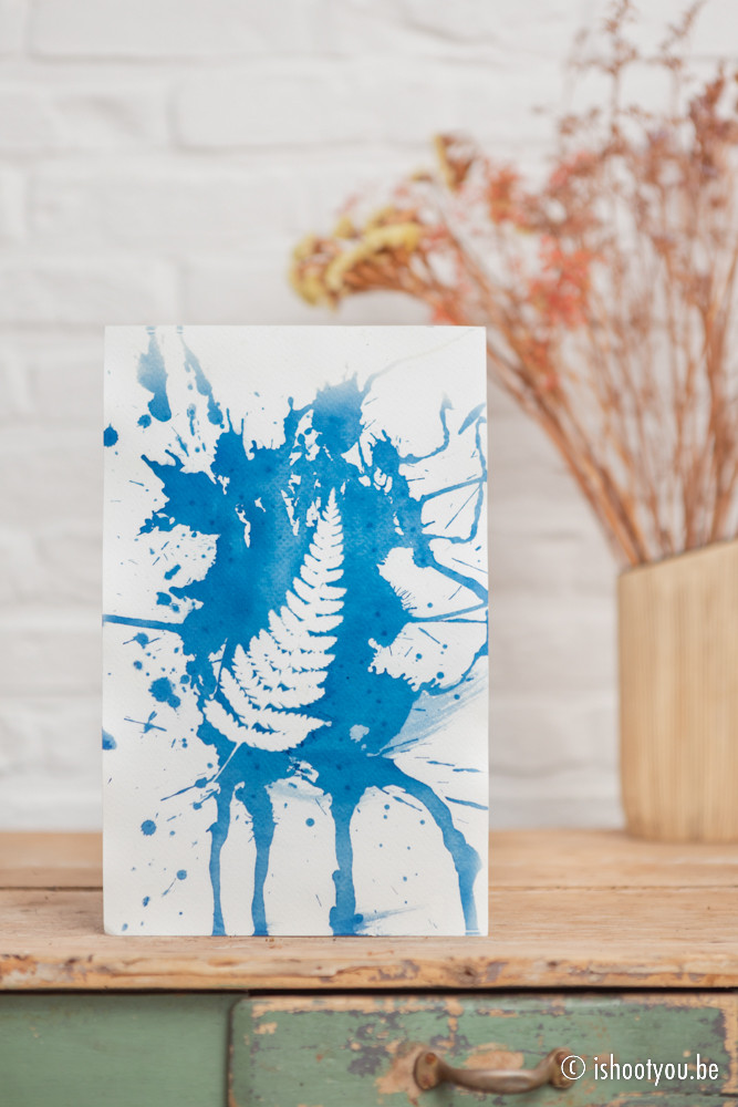 Cyanotypie - Online workshop en DIY pakket - Foto