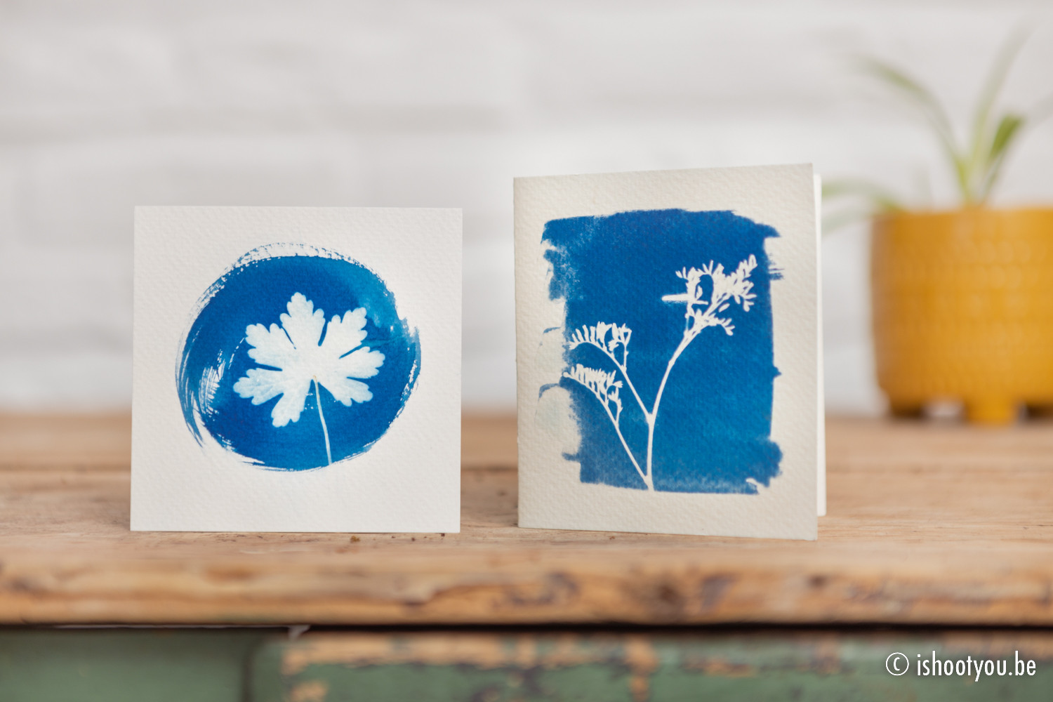 Cyanotypie - Online workshop en DIY pakket - Foto