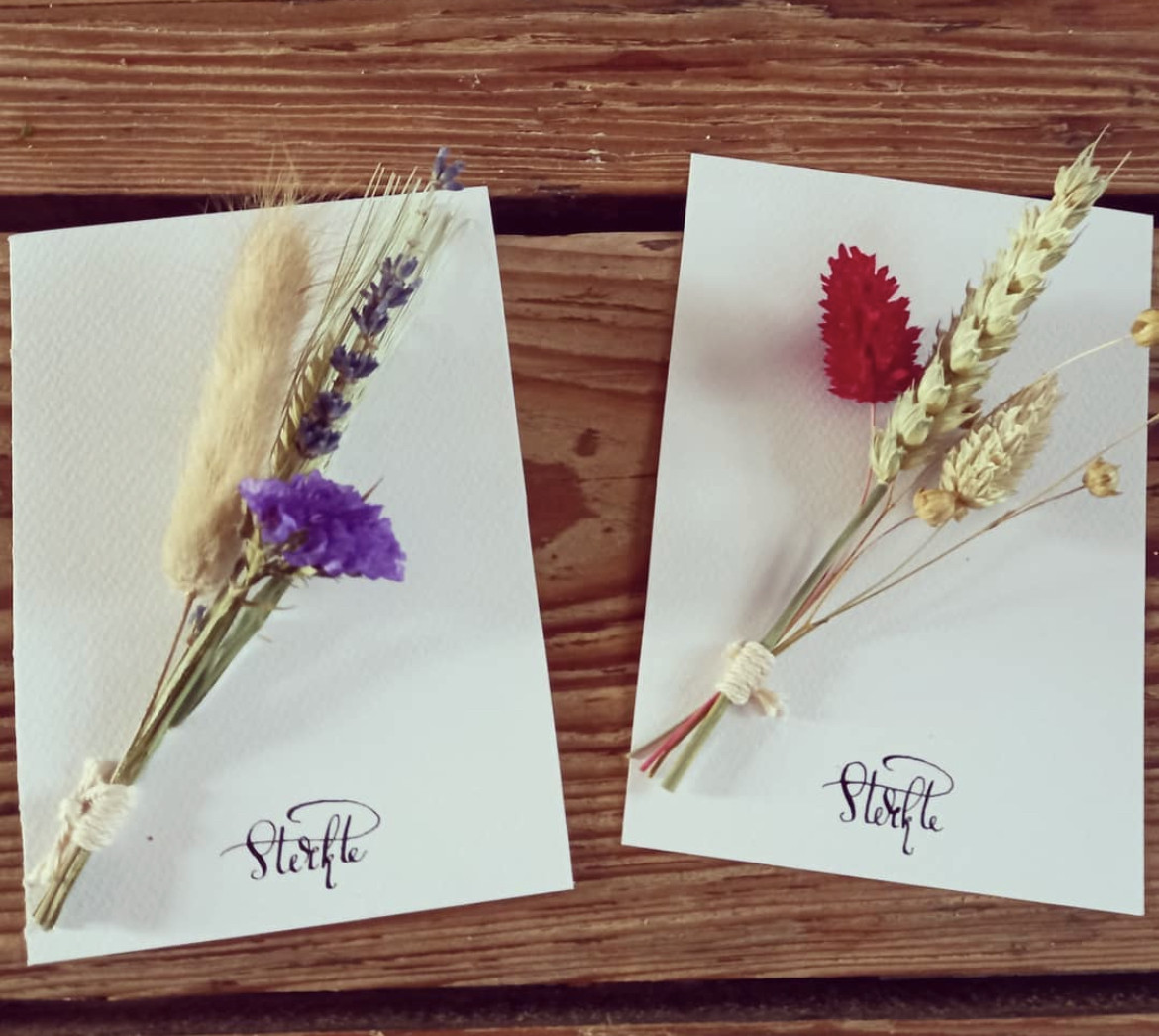 DIY Kalligrafie starterspakket - Foto