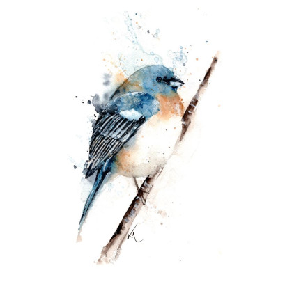 Workshop Watercolor Animals