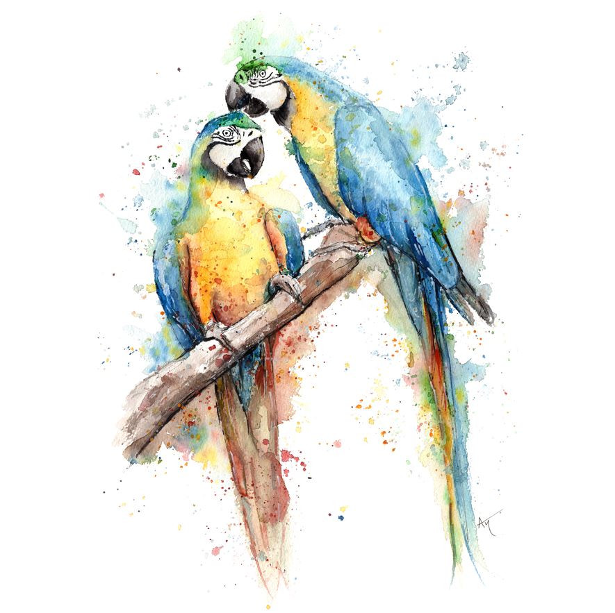 Workshop Watercolor Animals - Foto