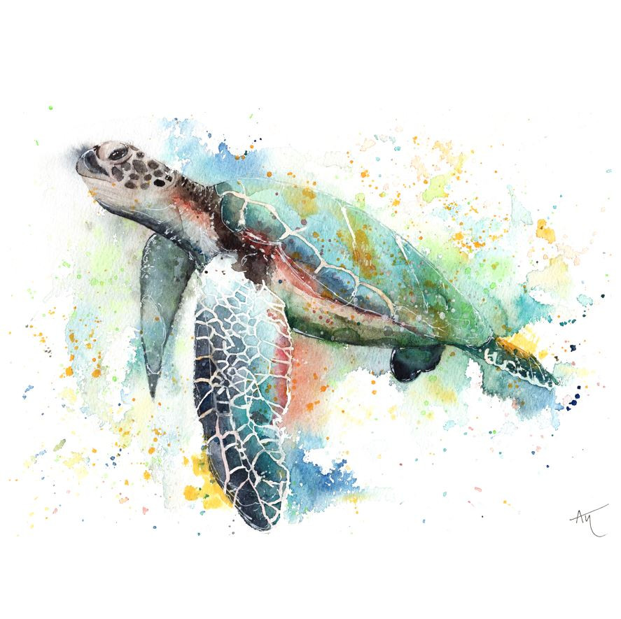 Workshop Watercolor Animals - Foto