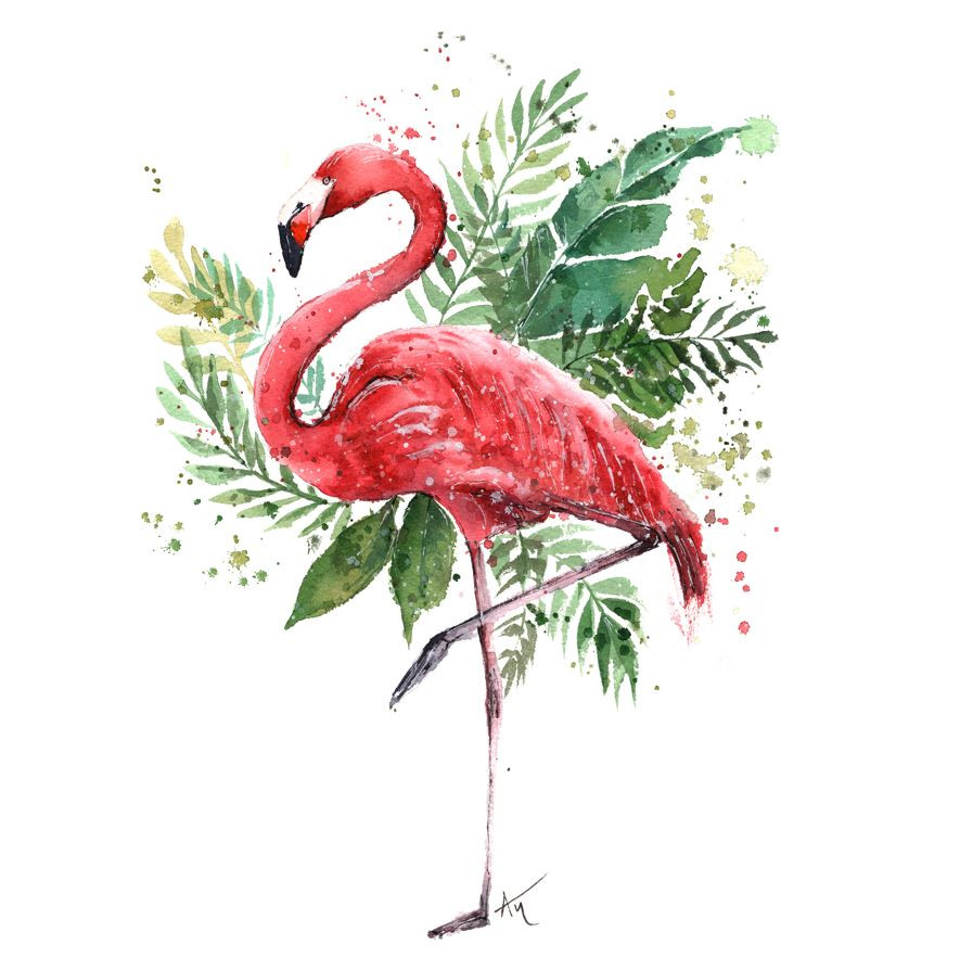 Workshop Watercolor Animals - Foto