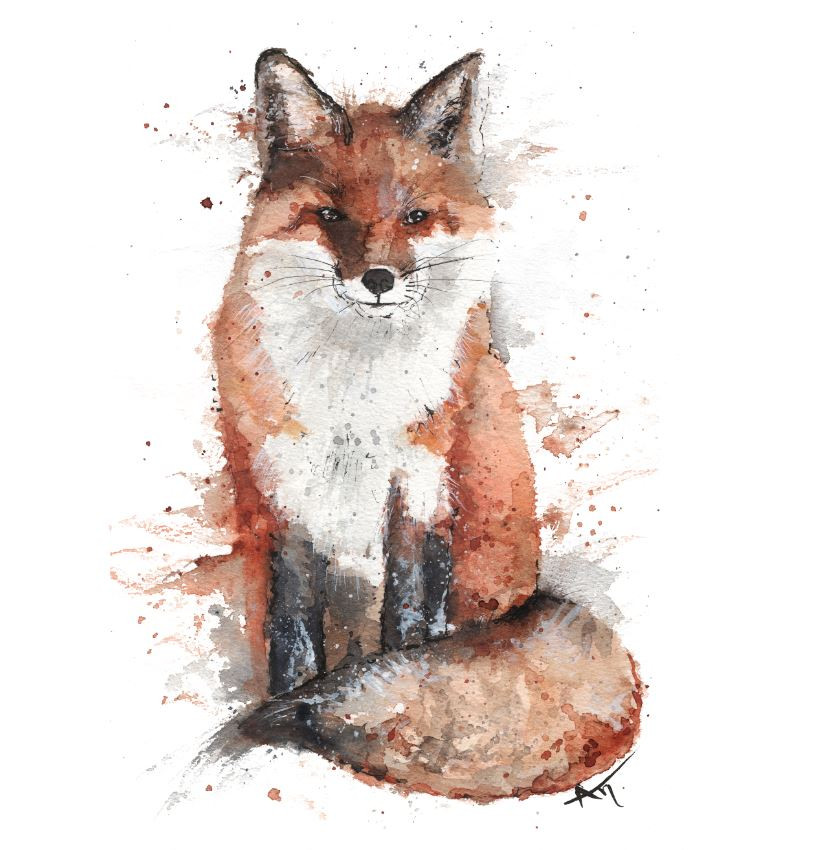 Workshop Watercolor Animals - Foto
