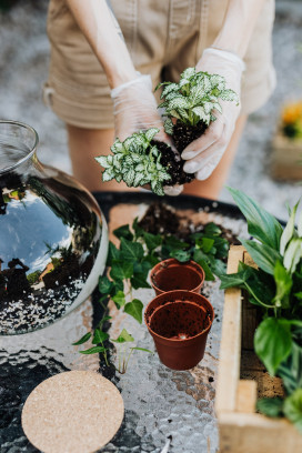 Workshop Terrarium maken & verzorgen (groepsaanvraag)