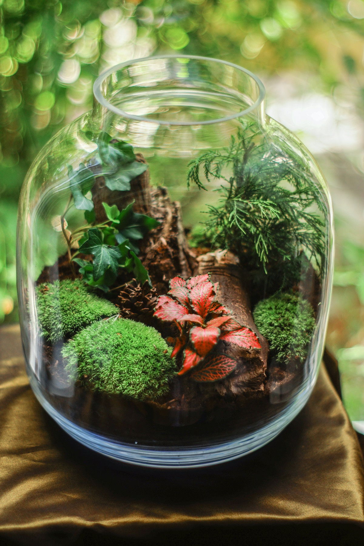 Workshop Terrarium maken & verzorgen (groepsaanvraag) - Foto