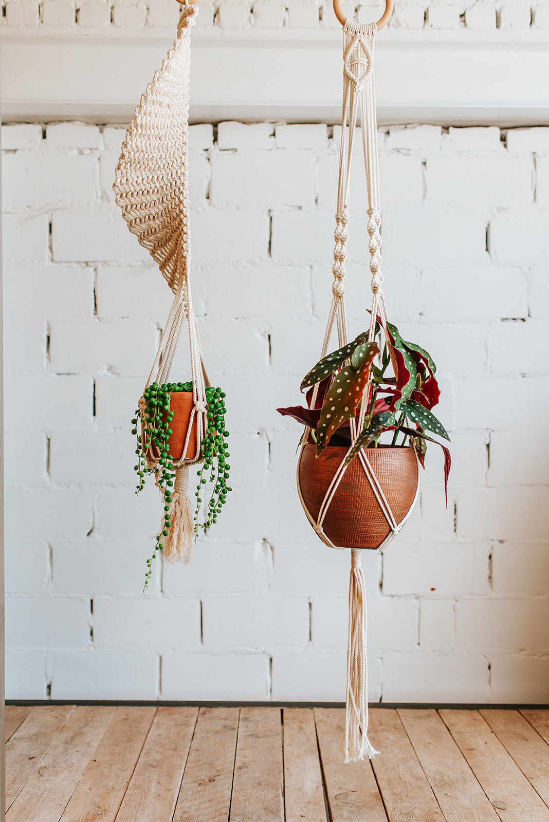 Workshop macramé - Knoop je eigen planthanger (groepsaanvraag) - Foto