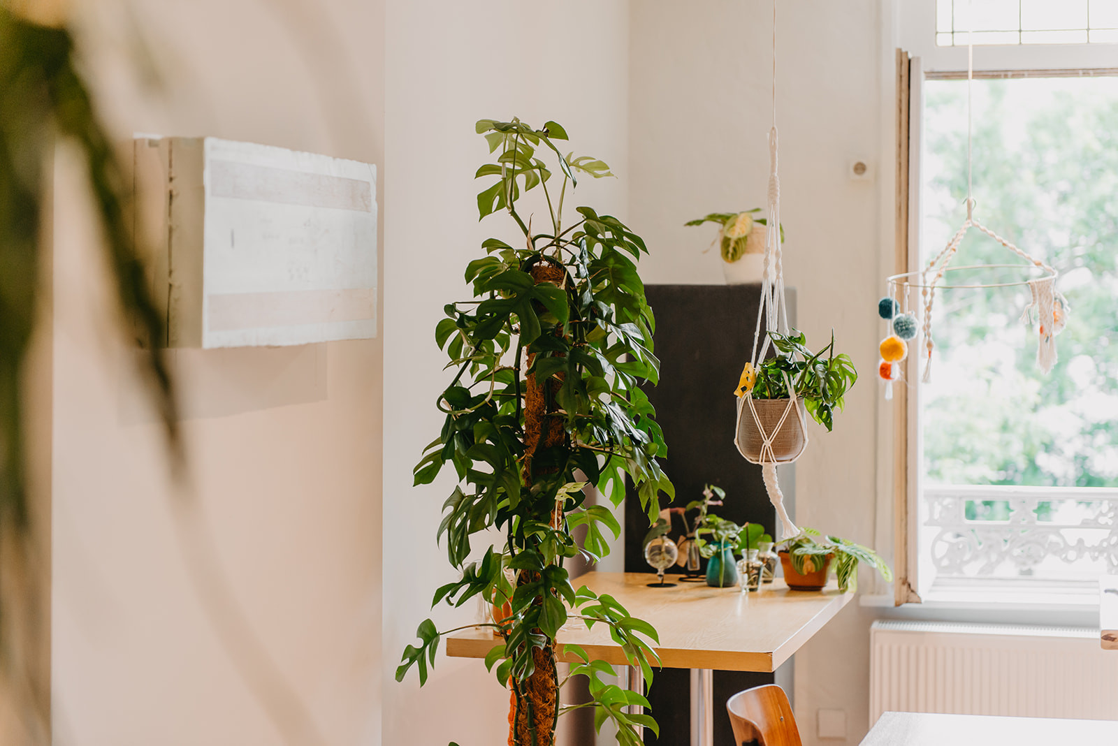 Workshop macramé - Knoop je eigen planthanger (groepsaanvraag) - Foto