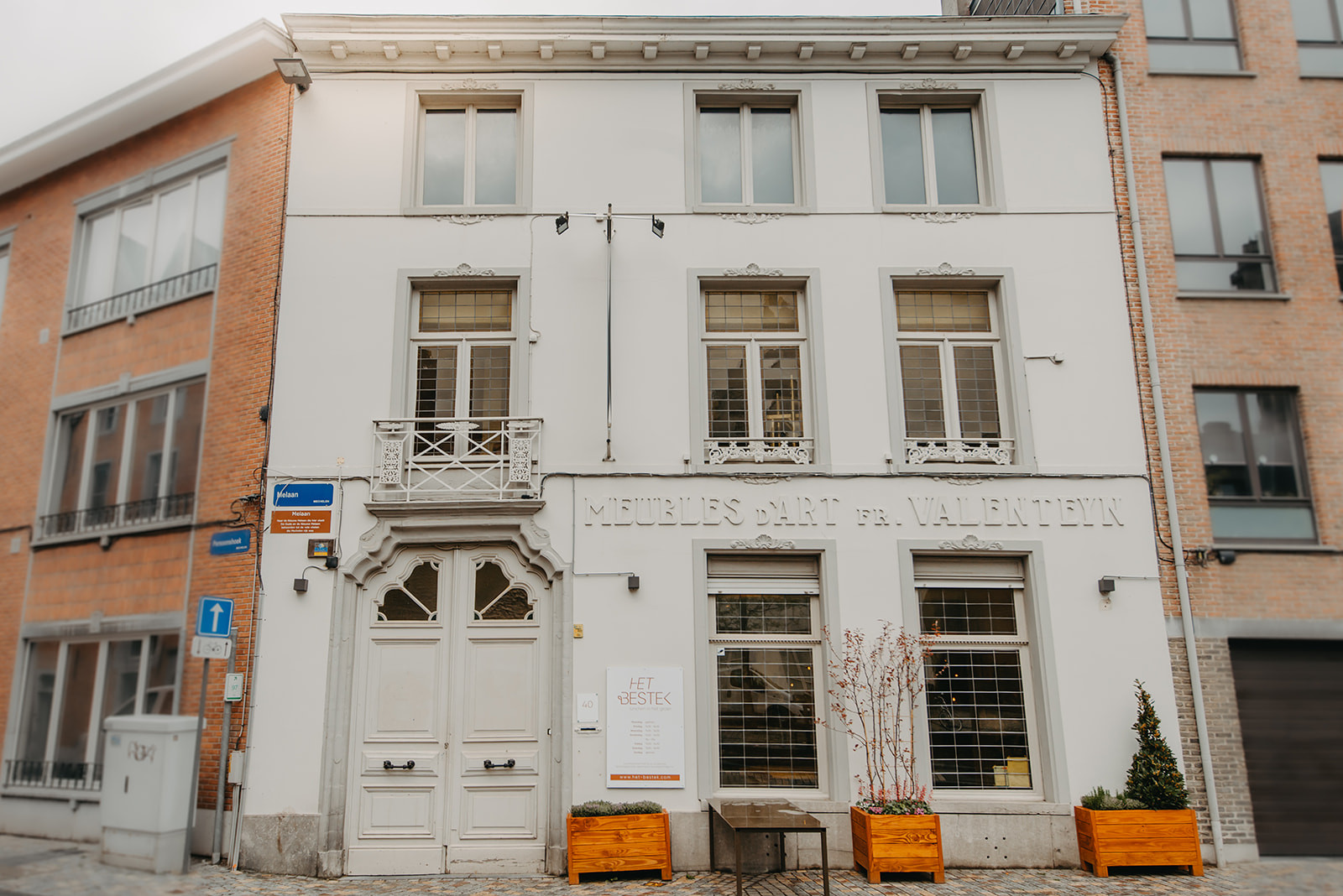 Workshop Kamerplanten verzorgen en verpotten voor beginners (groepsaanvraag) - Foto