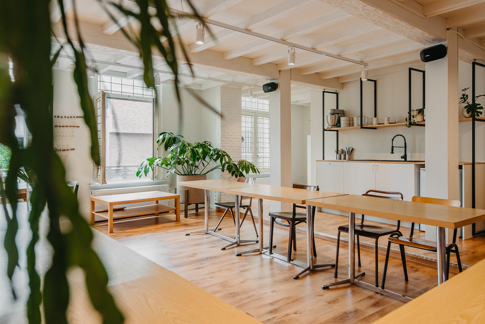 Workshop Kamerplanten verzorgen en verpotten voor beginners (groepsaanvraag) - Foto