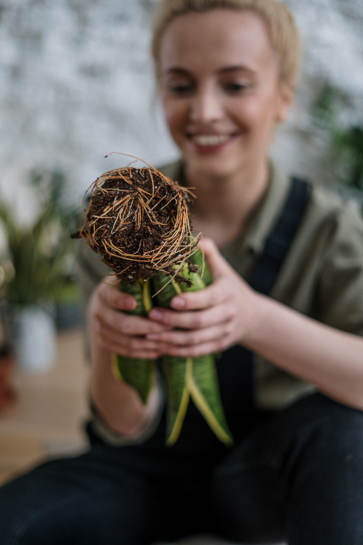 Workshop Kamerplanten verzorgen en verpotten voor beginners (groepsaanvraag) - Foto