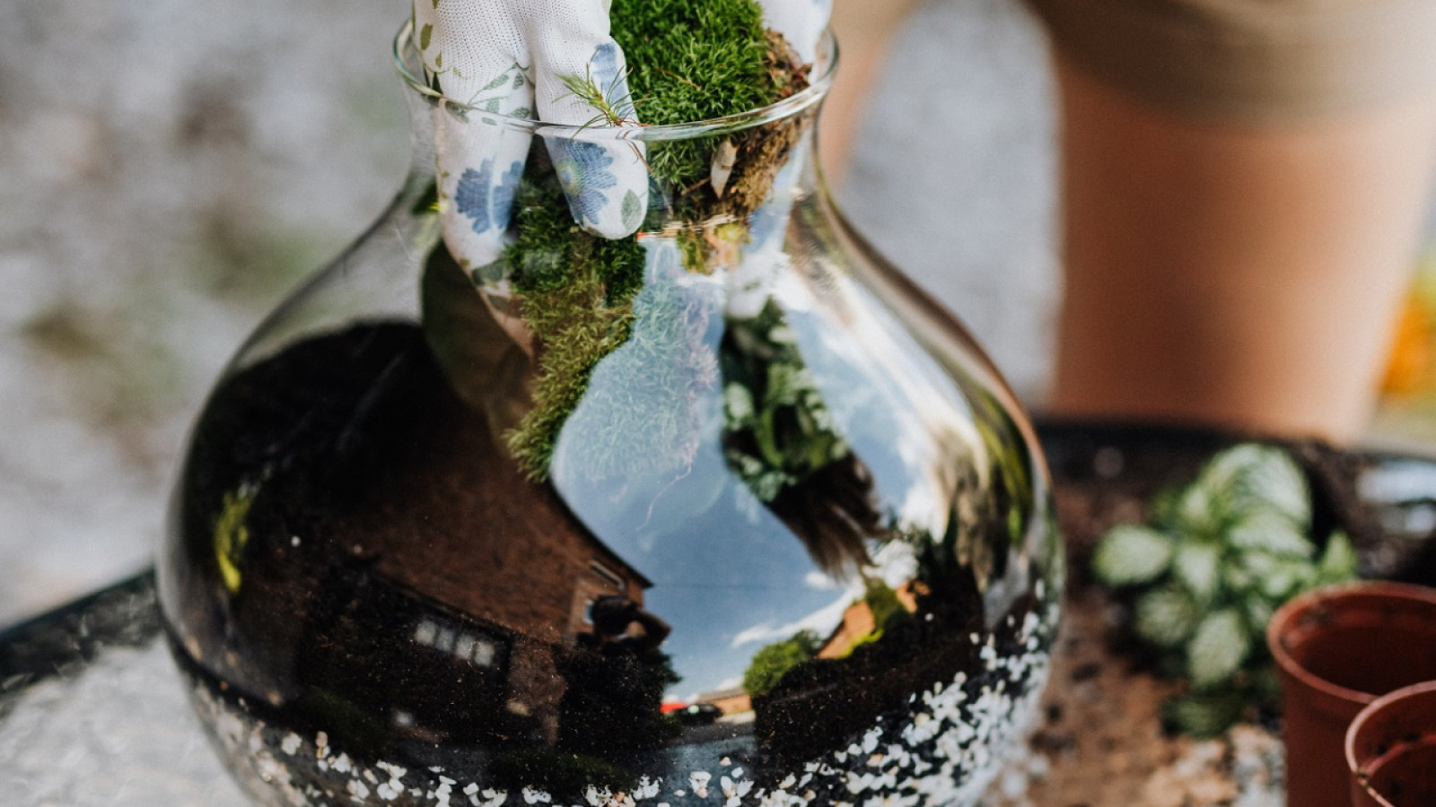 Workshop - je eigen ecosysteem maken - Leeuw - creatief&nbsp;