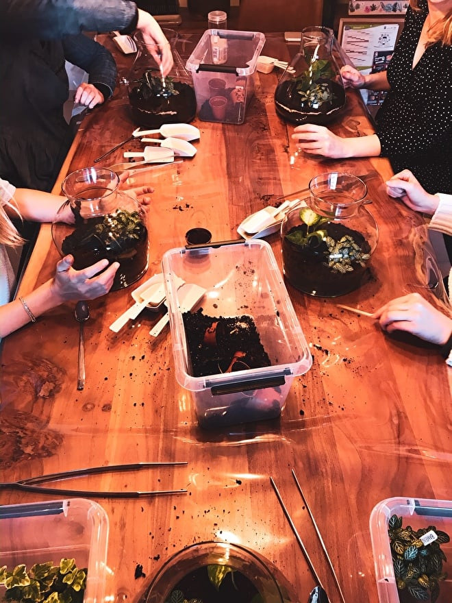 Workshop Plantenterrarium - Foto
