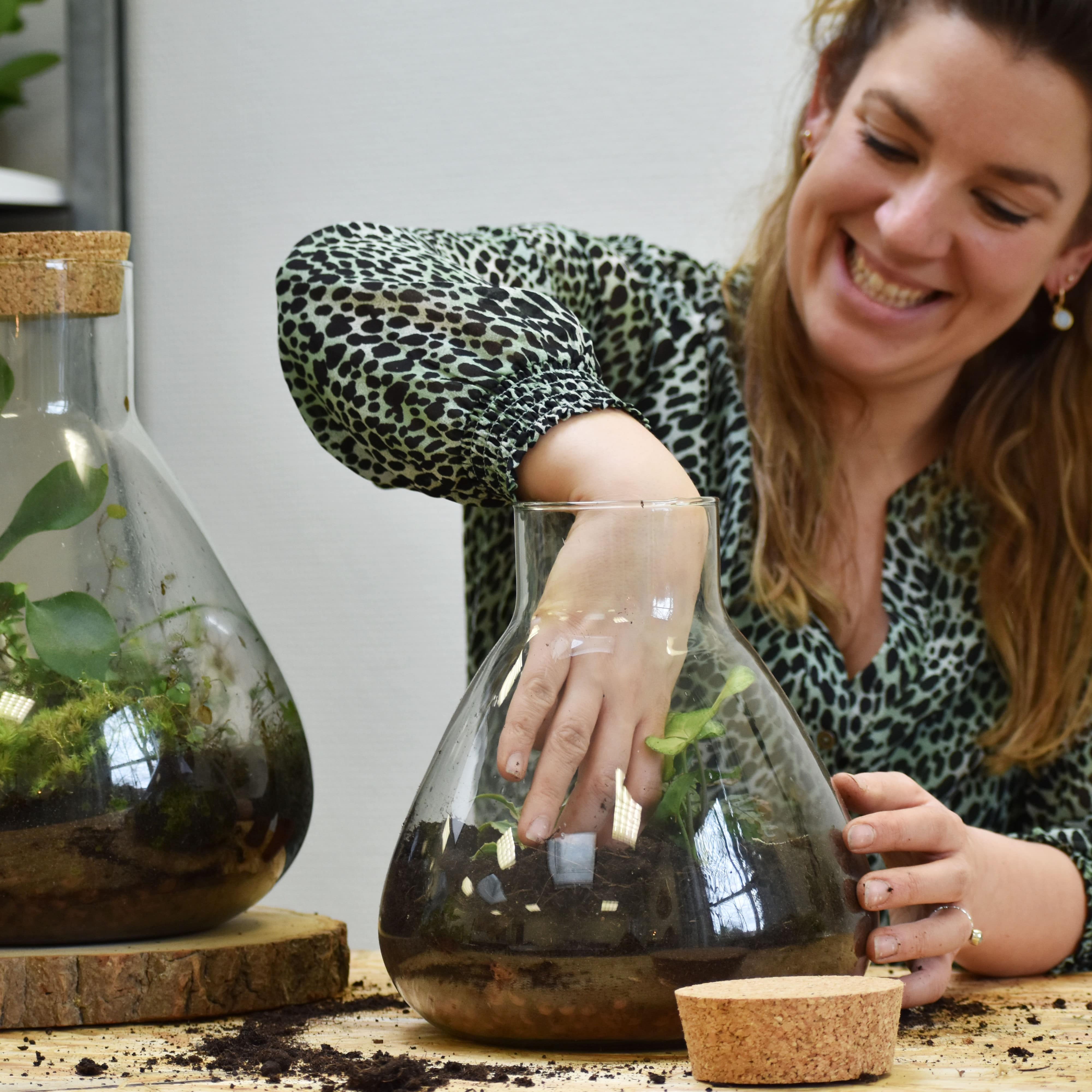 Workshop Ecosysteem maken