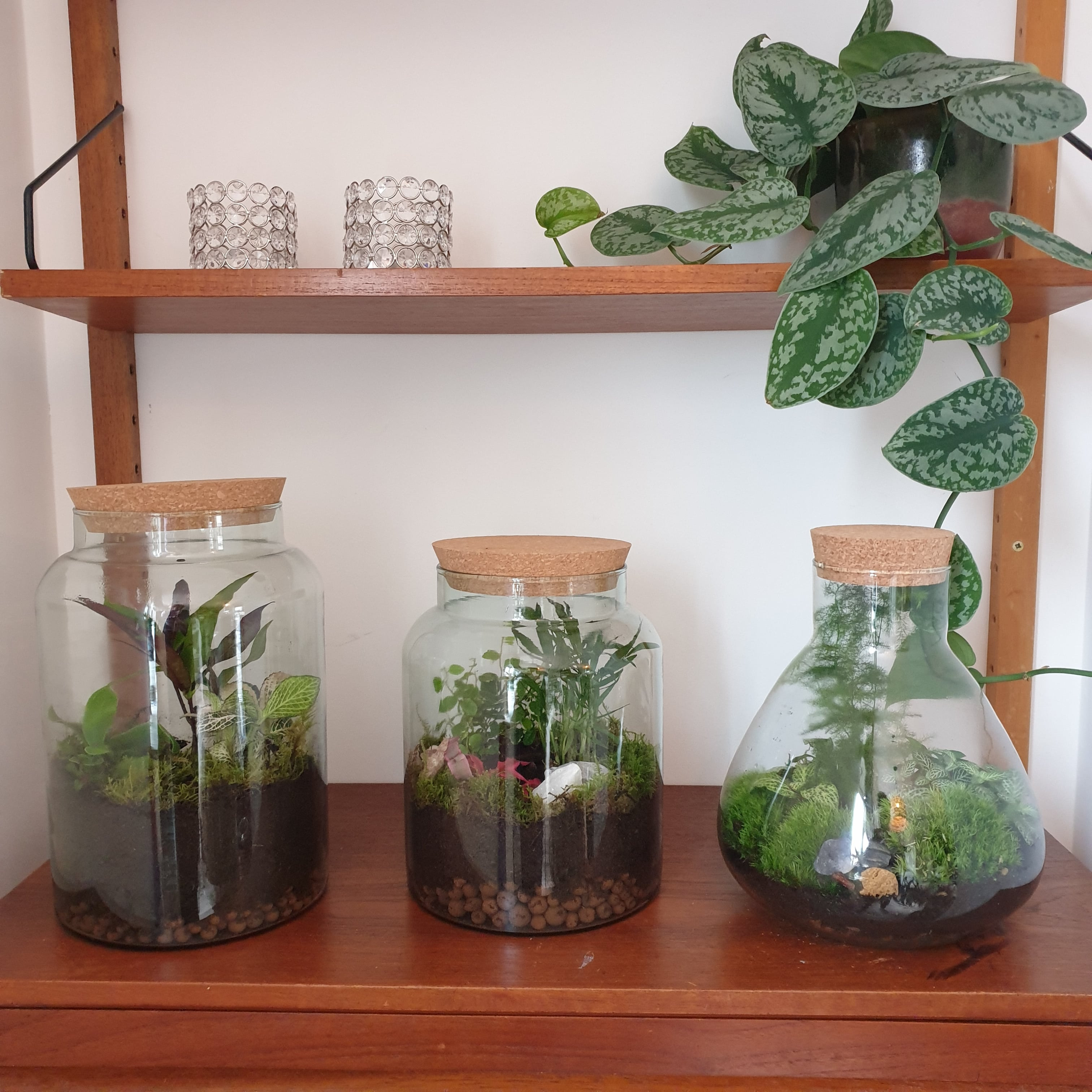 Workshop Ecosysteem maken - Foto