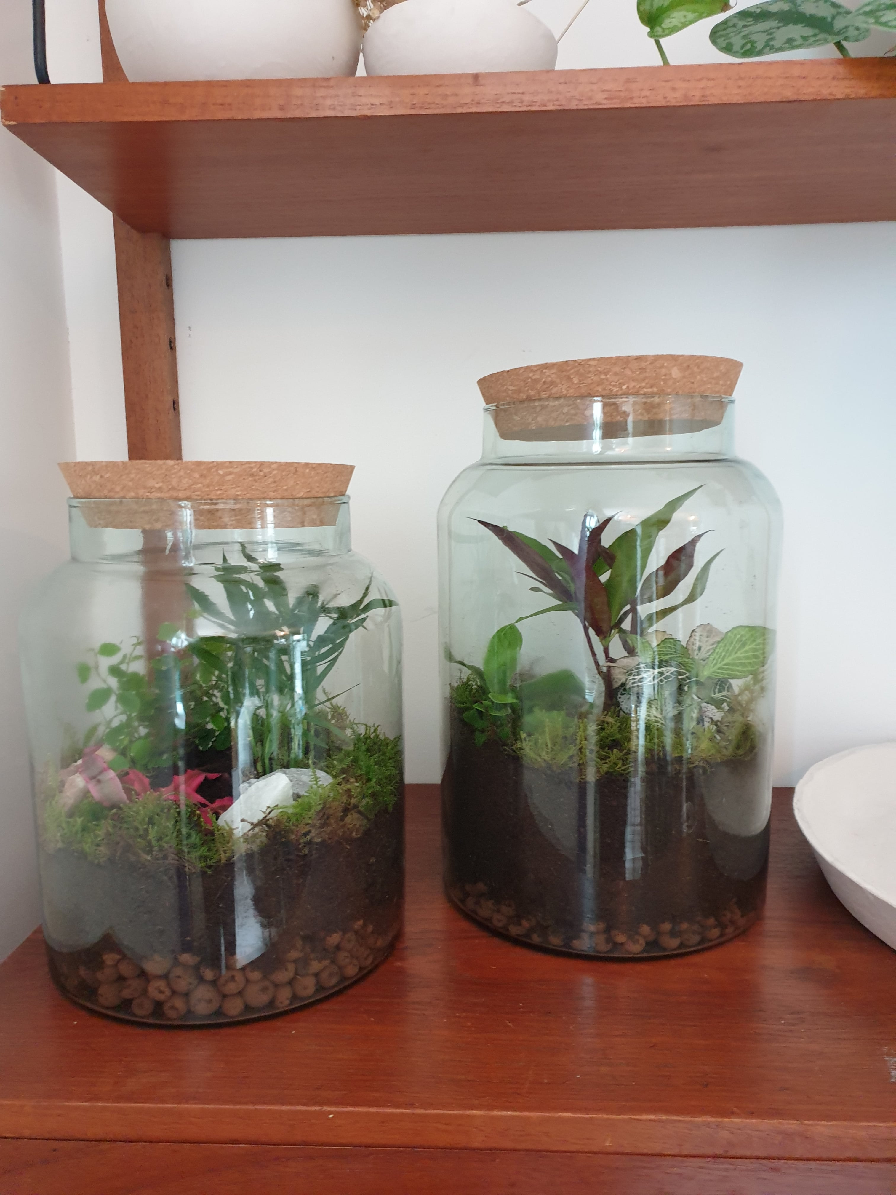 Workshop Ecosysteem maken - Foto