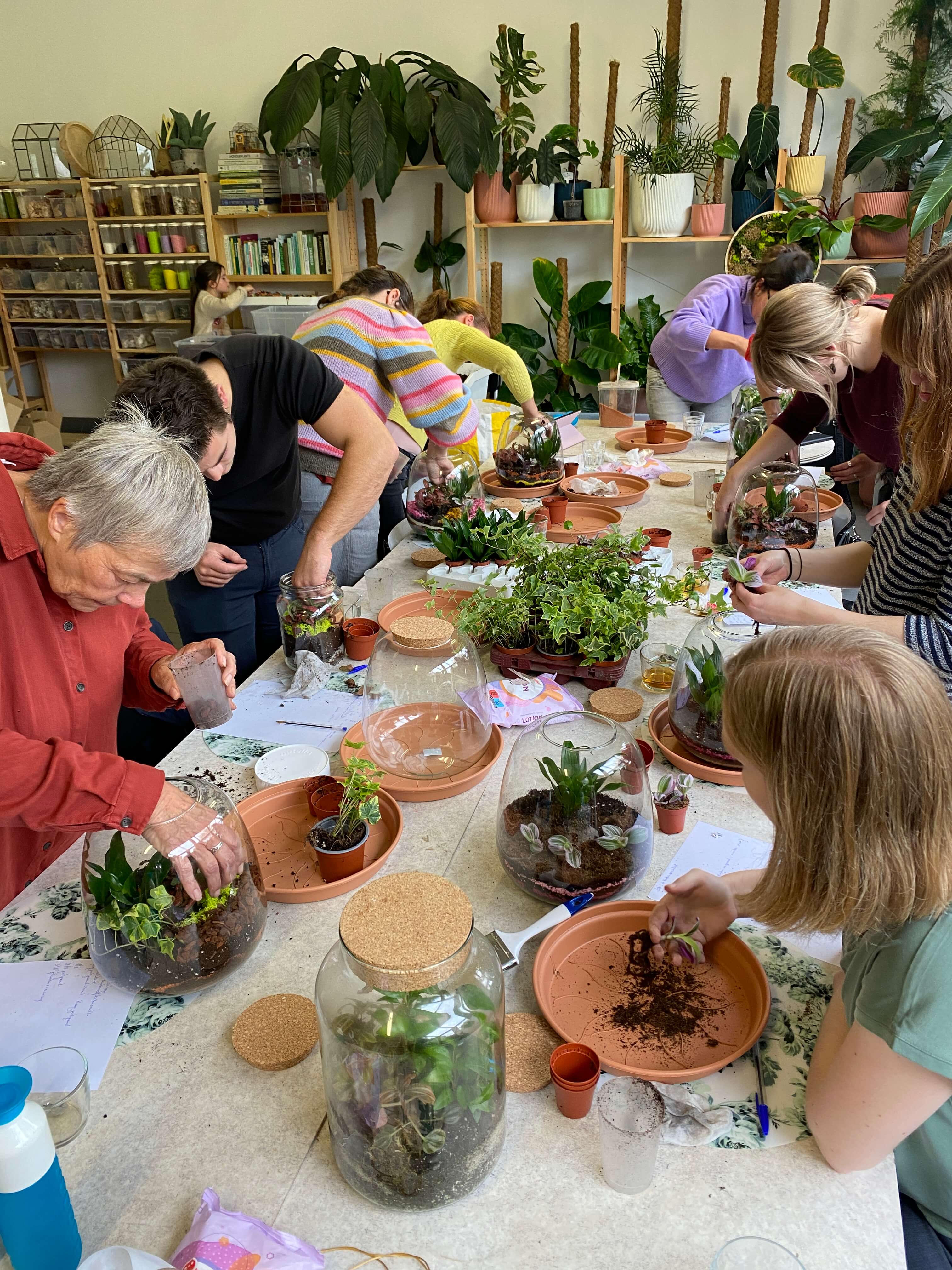 Workshop Terrariums bouwen - creëer je eigen ecosysteem - Foto