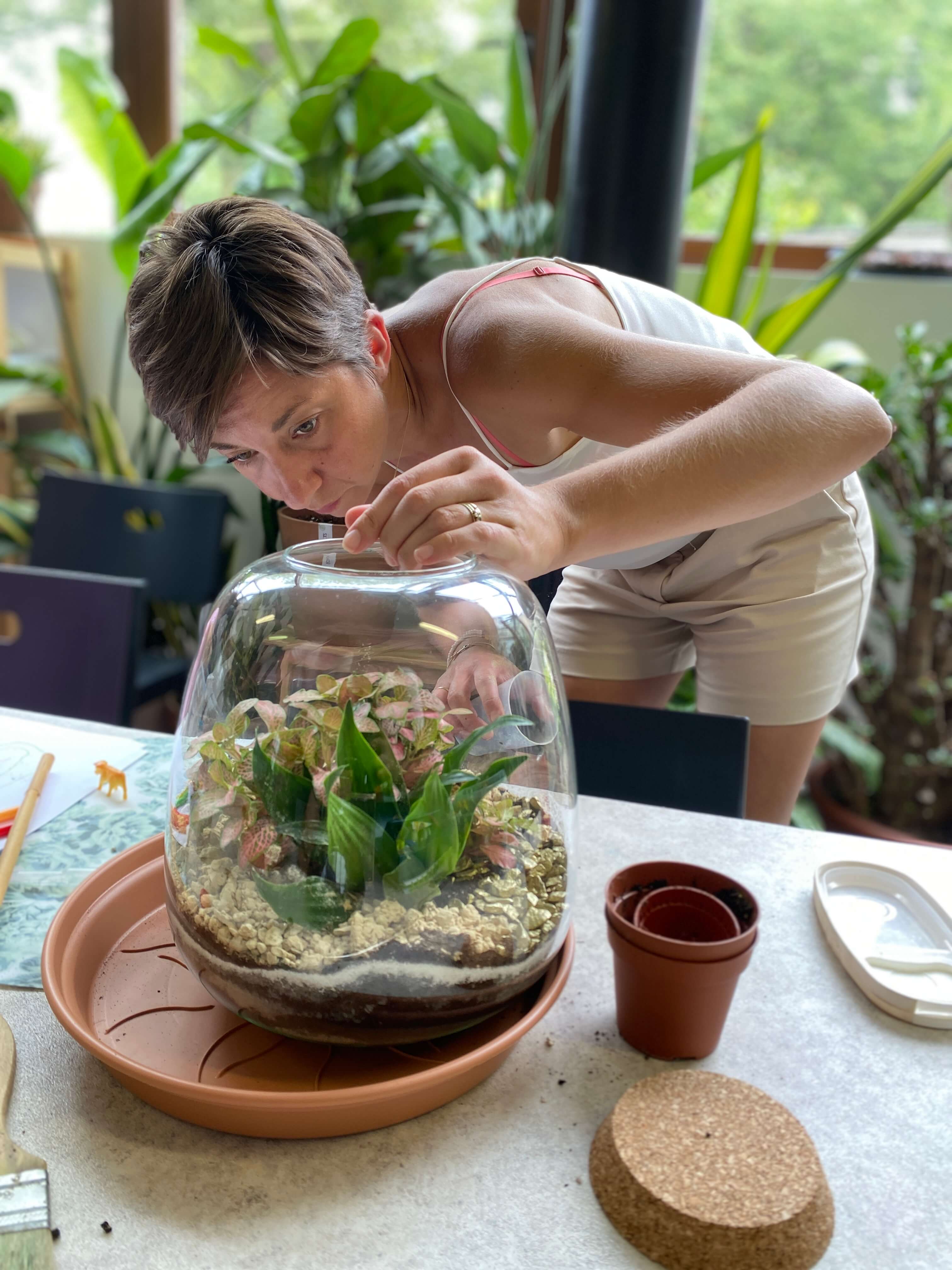 Workshop Terrariums bouwen - creëer je eigen ecosysteem - Foto