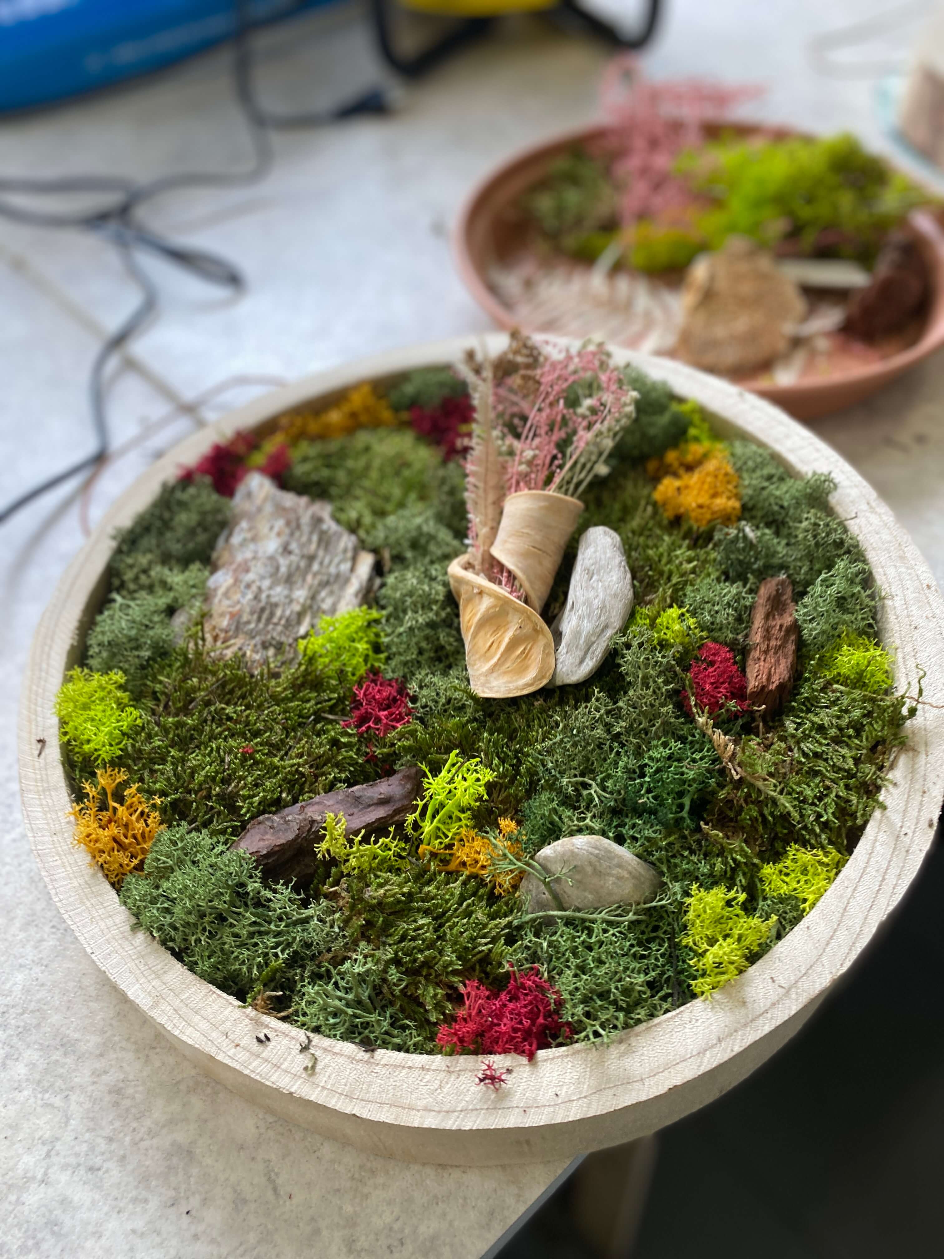 Workshop mosmuren - bouw je eigen groene wand - Foto