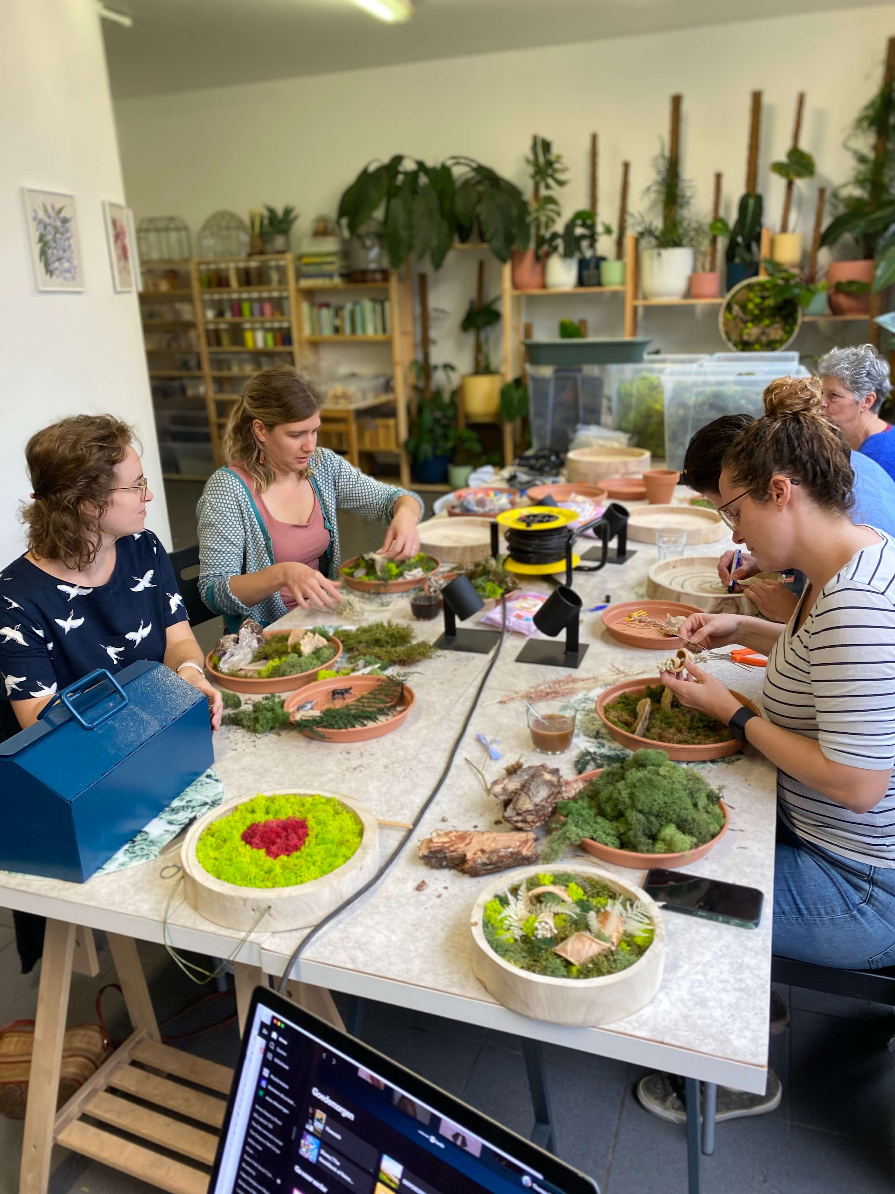 Workshop mosmuren - bouw je eigen groene wand - Foto