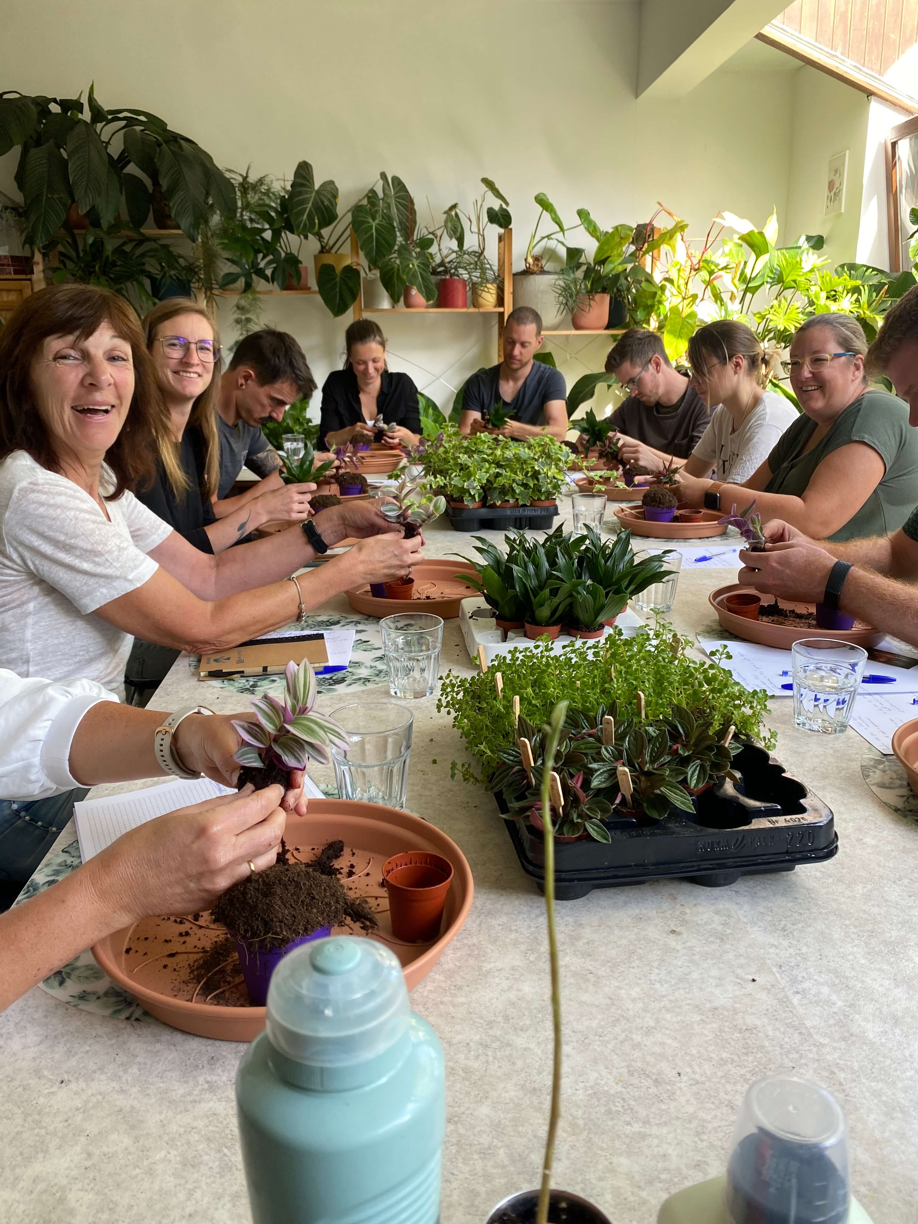 Workshop planten stekken en vermeerderen - Foto