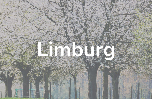 Provincie Limburg