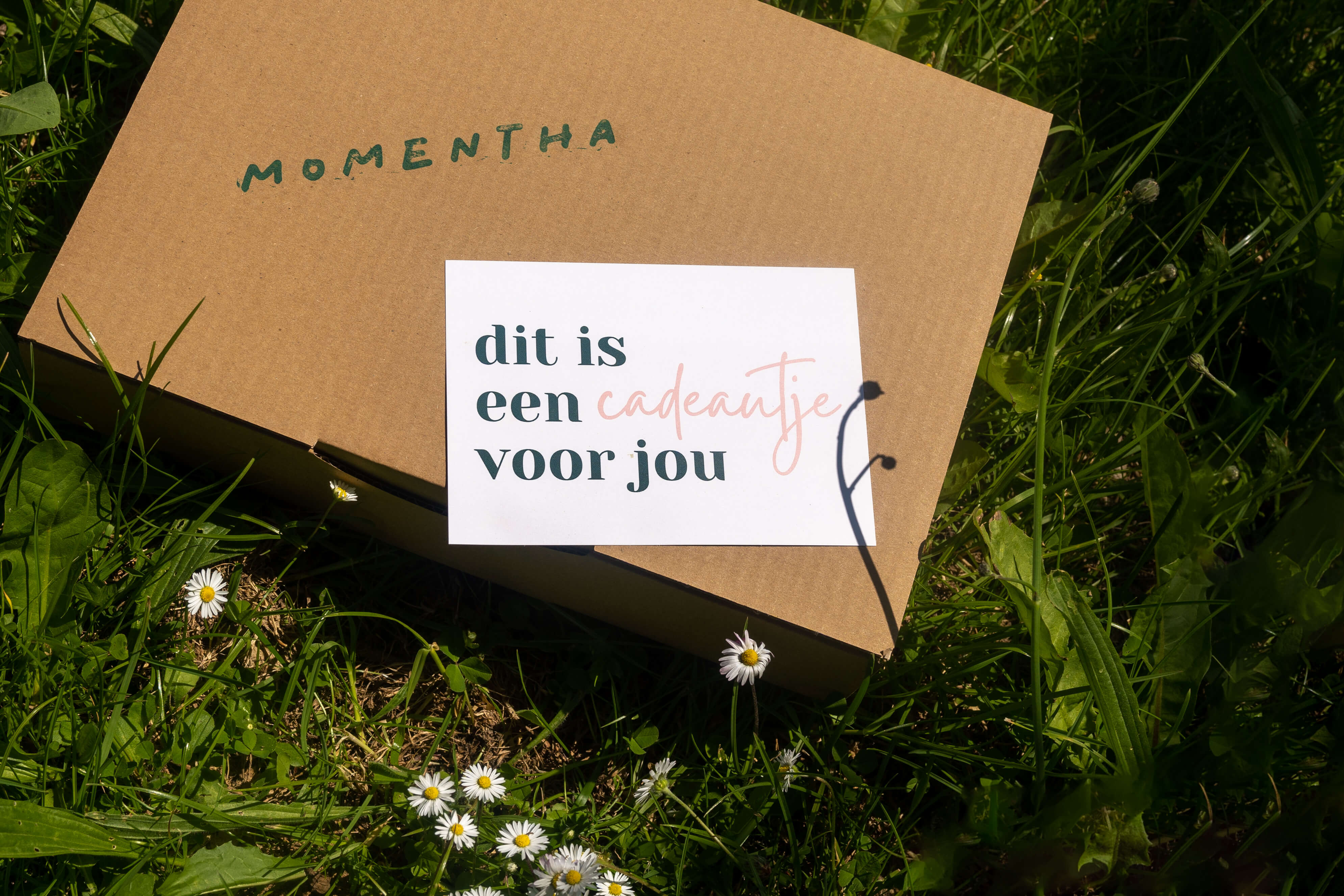 DIY pakket: Zomerbox - Foto