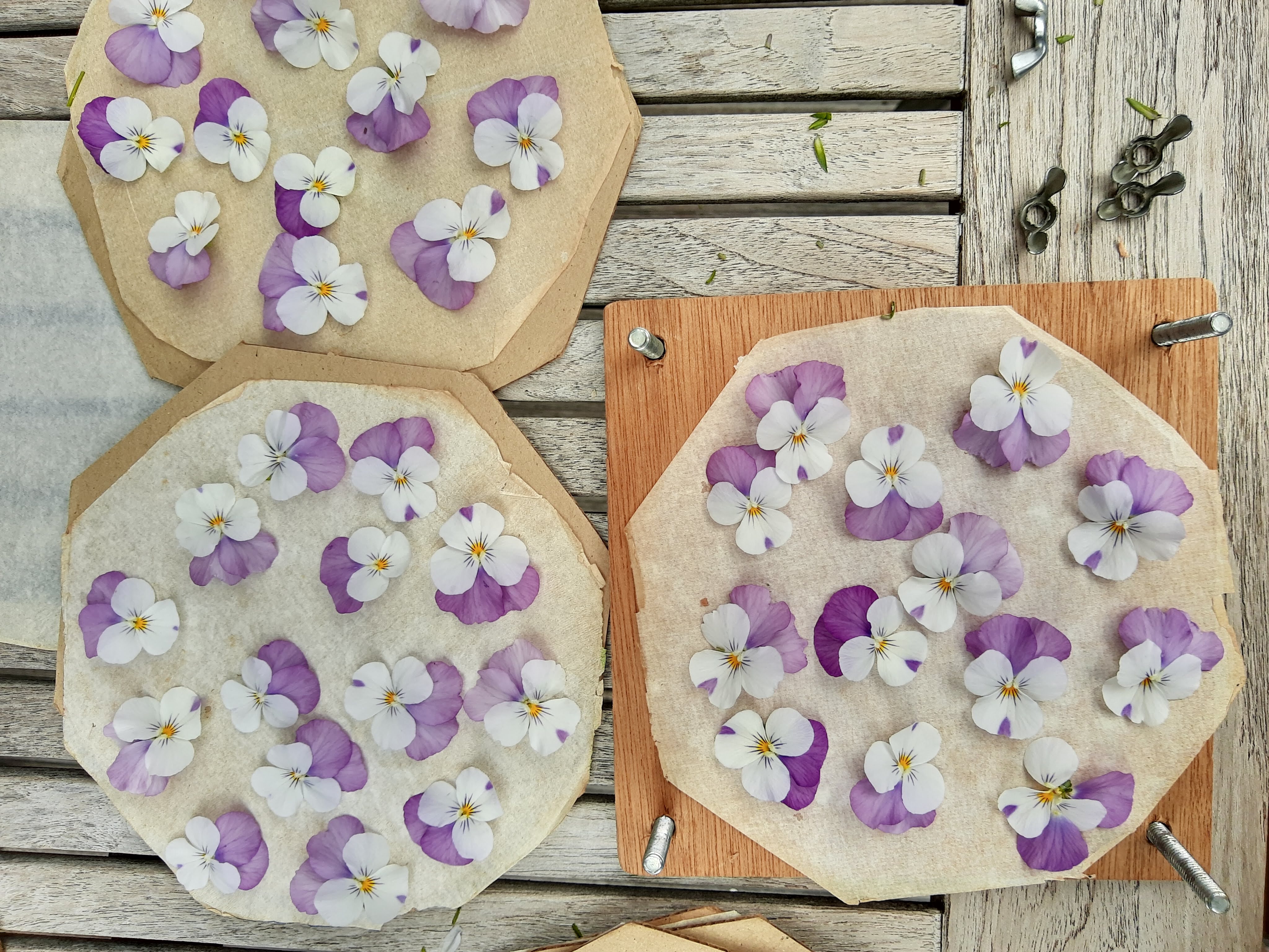 DIY pakket: Zomerbox - Foto