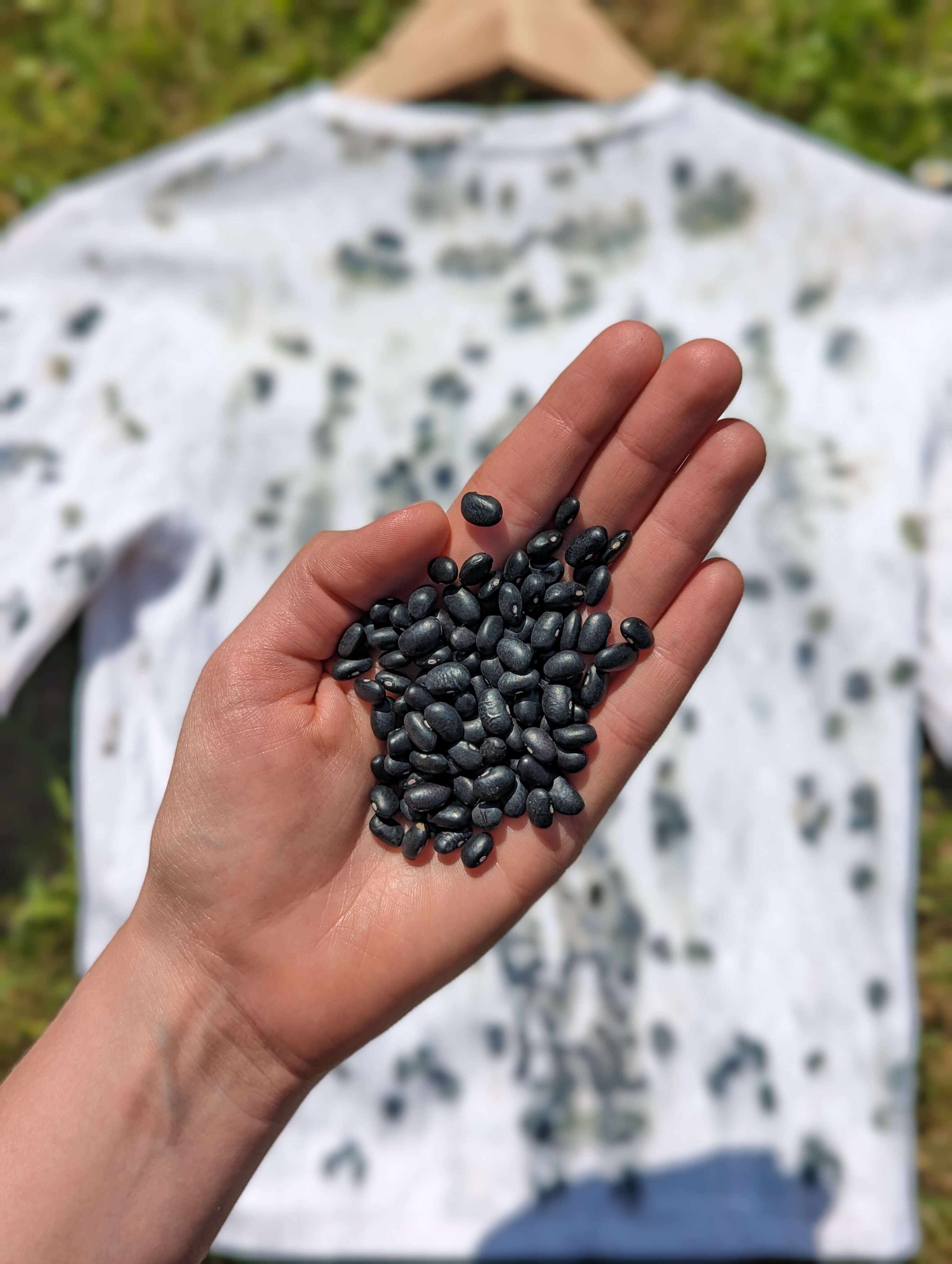 Natuurlijk verven workshop - Foto