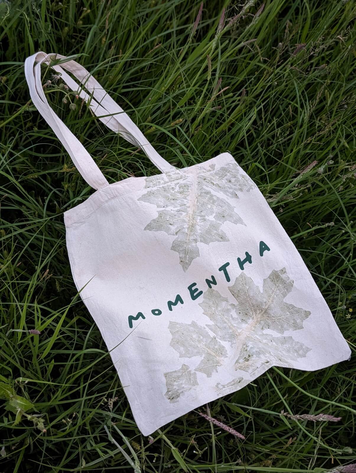 Natuurlijk verven workshop - Foto