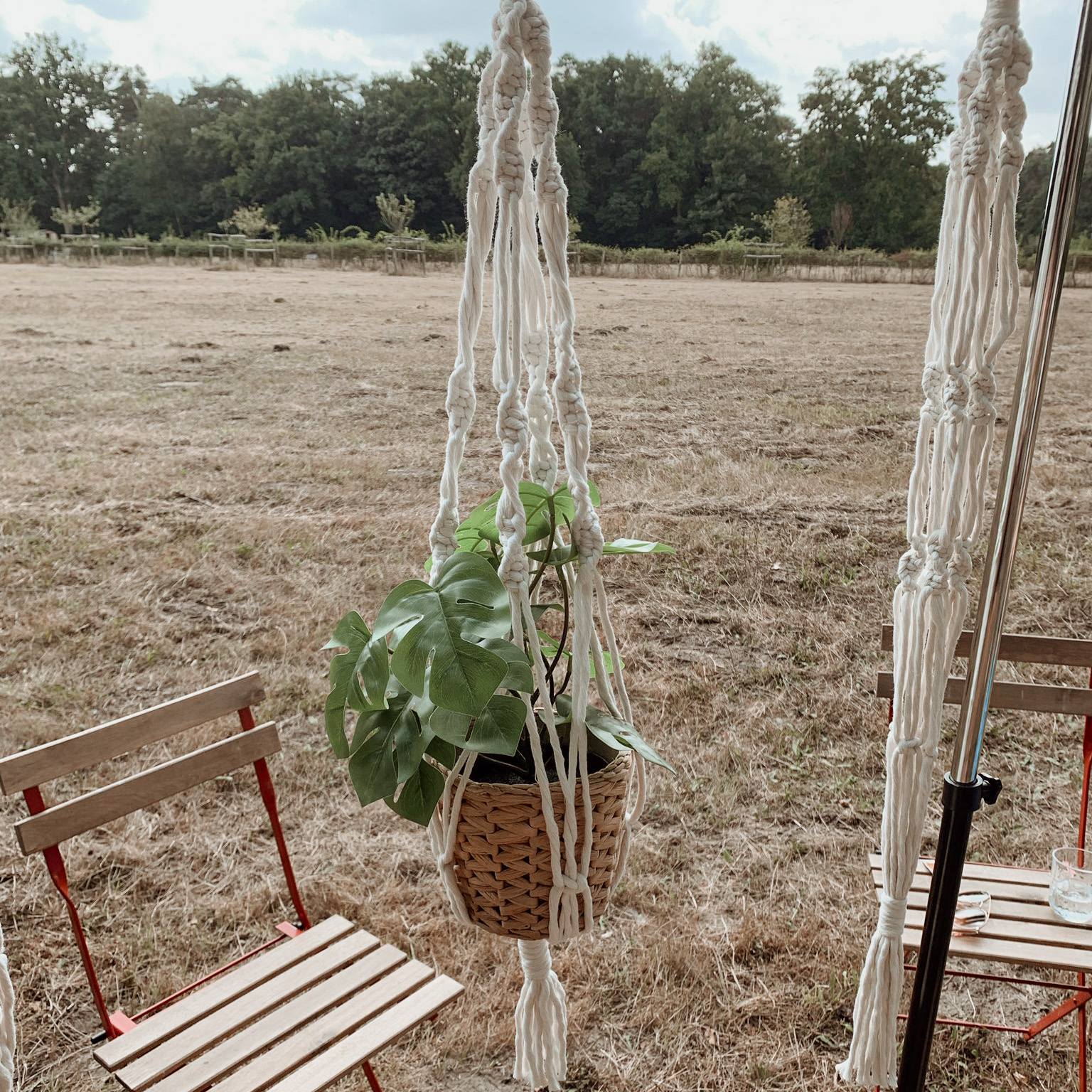 Workshop Macramé Plantenhanger - Foto